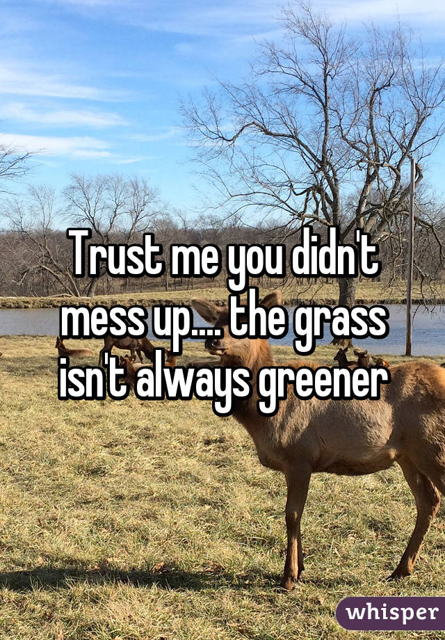 Trust me you didn't mess up.... the grass isn't always greener