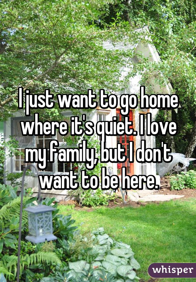 I just want to go home where it's quiet. I love my family, but I don't want to be here.