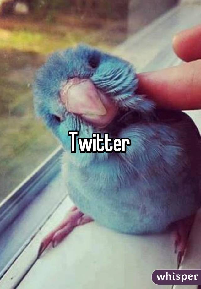 Twitter 