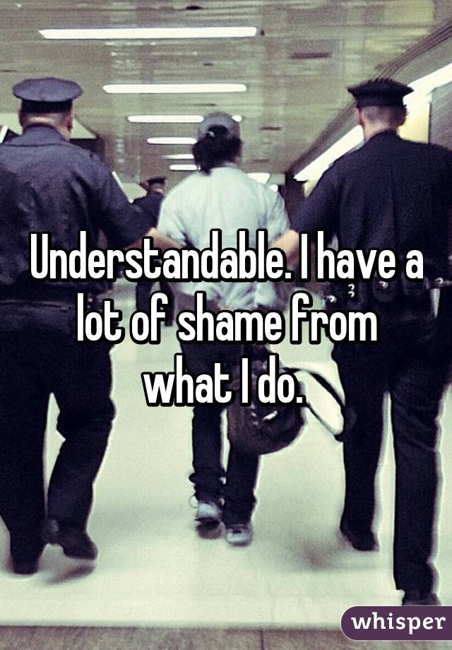 Understandable. I have a lot of shame from what I do. 