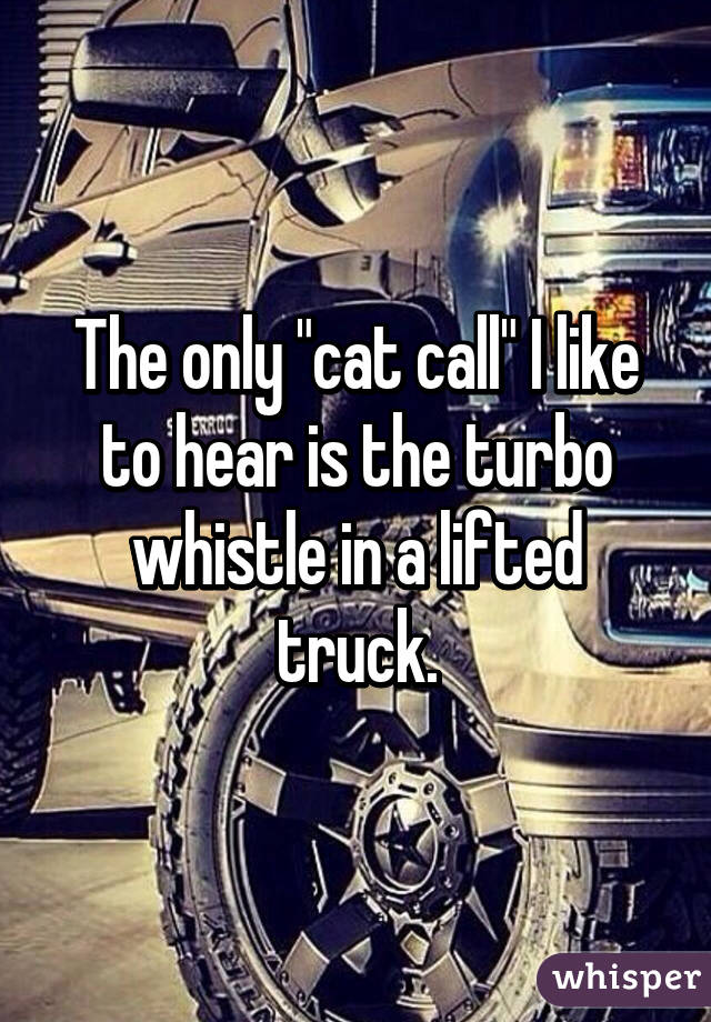 The only "cat call" I like to hear is the turbo whistle in a lifted truck.