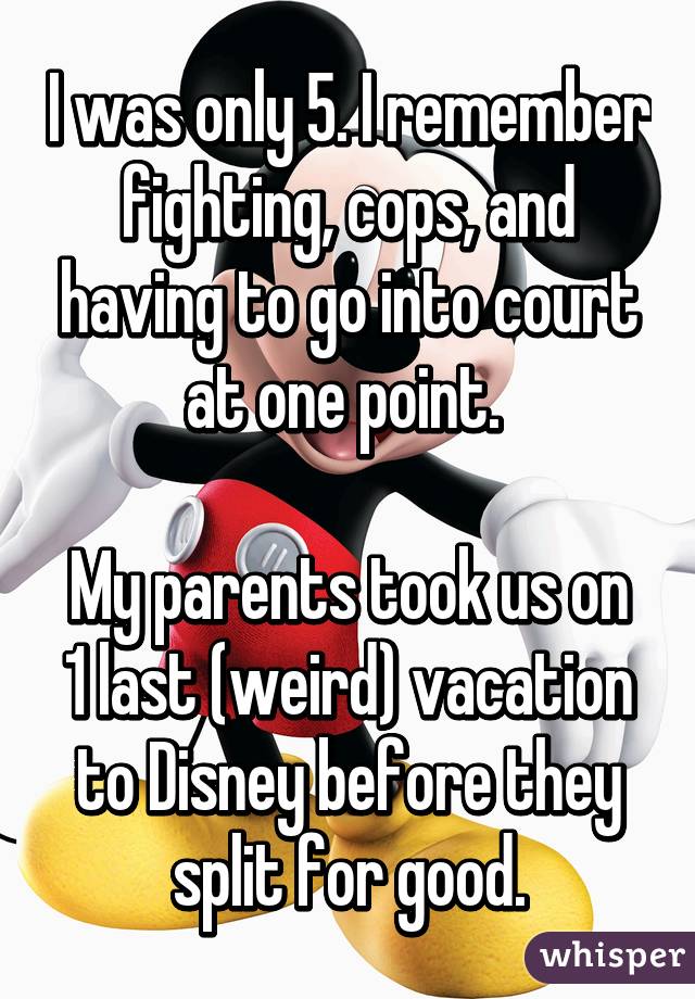 I was only 5. I remember fighting, cops, and having to go into court at one point. 

My parents took us on 1 last (weird) vacation to Disney before they split for good.