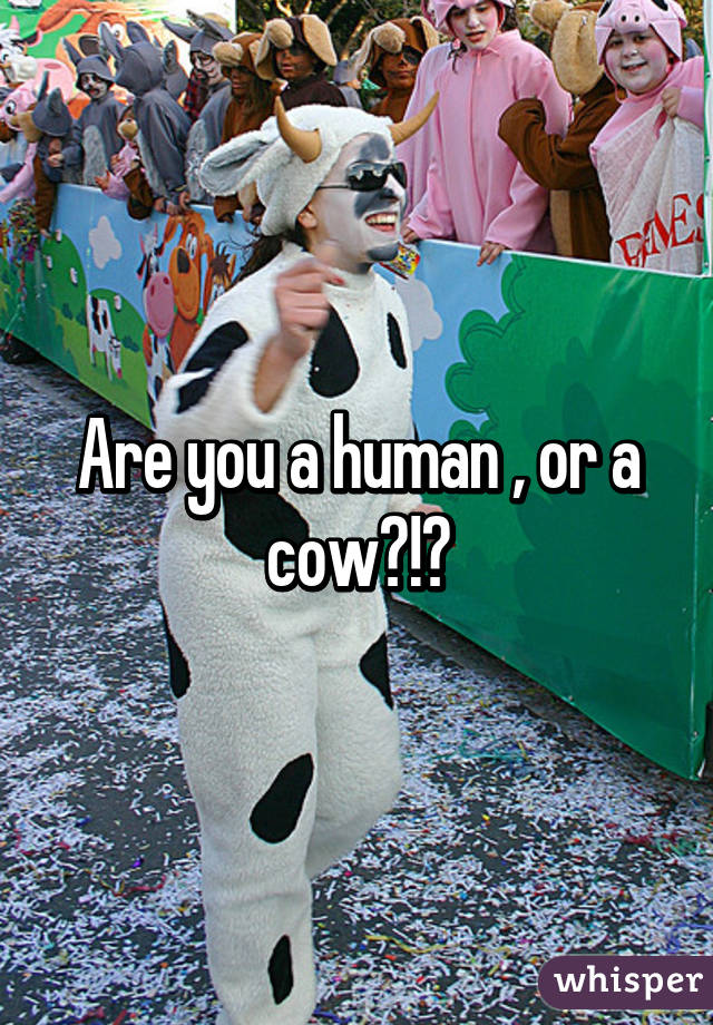 Are you a human , or a cow?!?