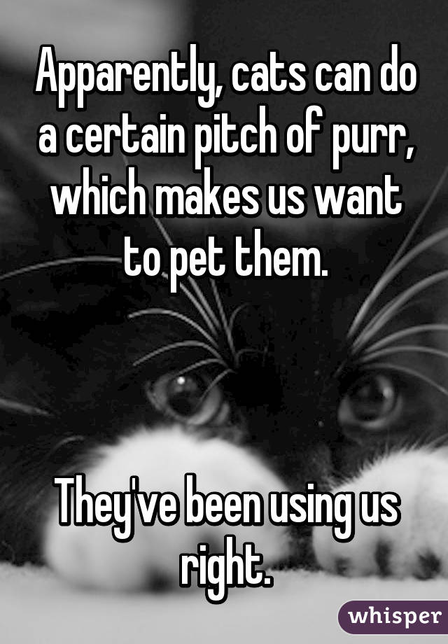 Apparently, cats can do a certain pitch of purr, which makes us want to pet them.



They've been using us right.