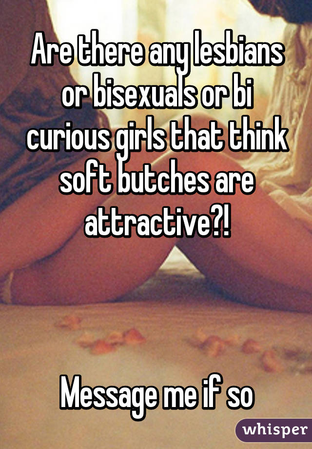 Are there any lesbians or bisexuals or bi curious girls that think soft butches are attractive?!



Message me if so