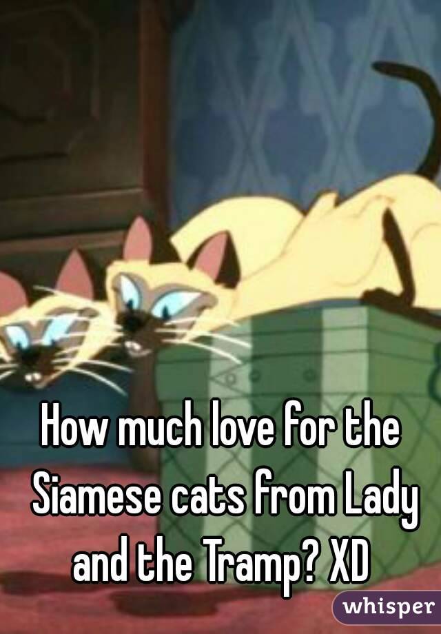 How much love for the Siamese cats from Lady and the Tramp? XD 