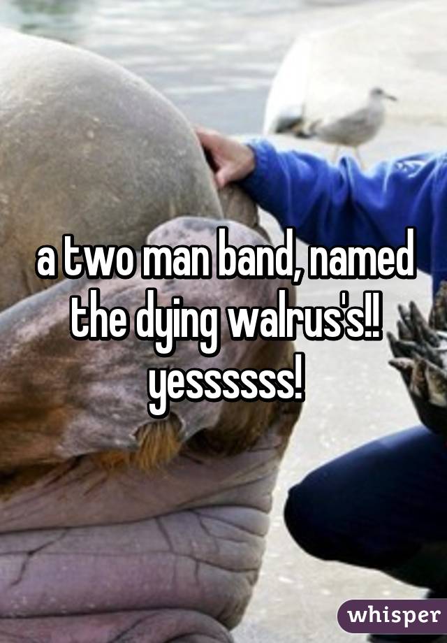 a two man band, named the dying walrus's!! yessssss!