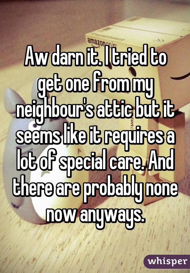 Aw darn it. I tried to get one from my neighbour's attic but it seems like it requires a lot of special care. And there are probably none now anyways.