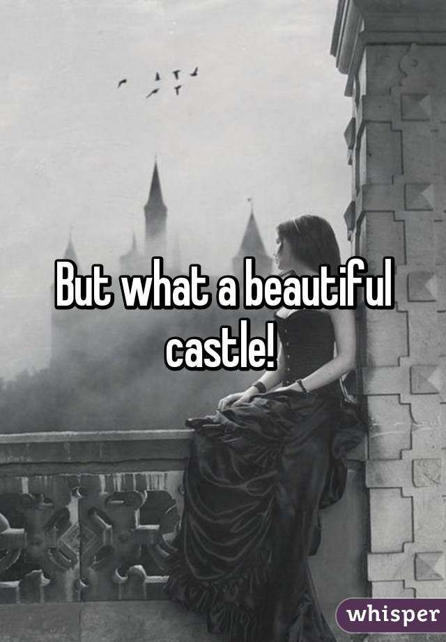 But what a beautiful castle! 