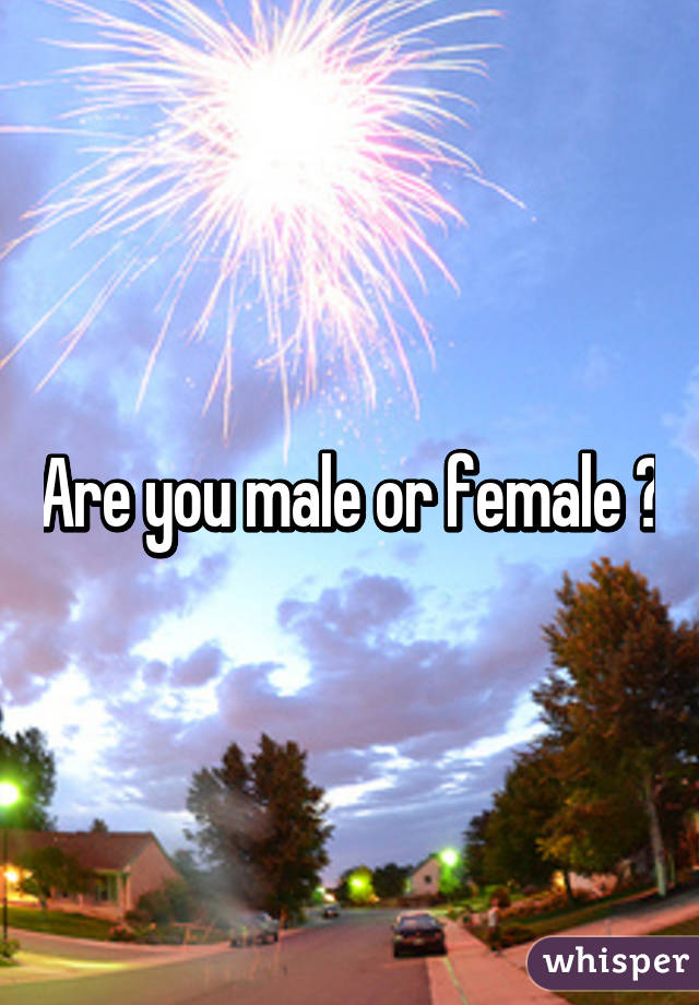 Are you male or female ?