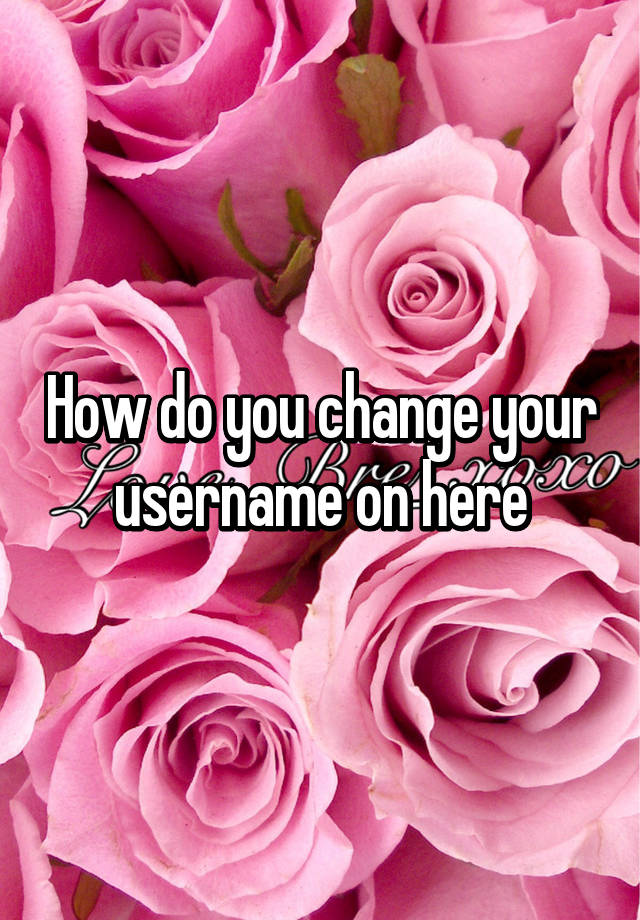 how-do-you-change-your-username-on-here