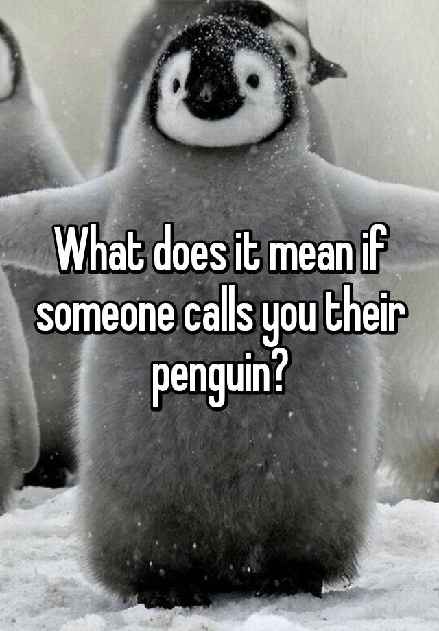 what-does-it-mean-if-someone-calls-you-their-penguin