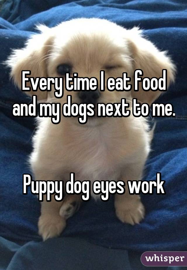 Every time I eat food and my dogs next to me.


Puppy dog eyes work