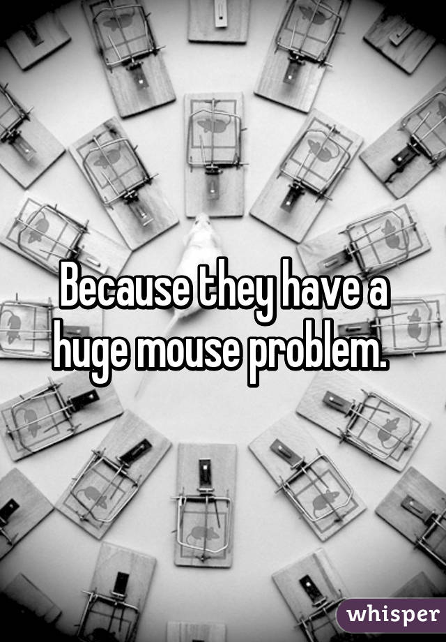 Because they have a huge mouse problem. 