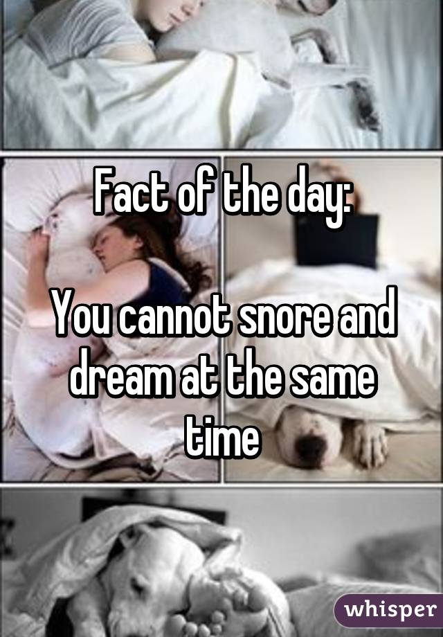 Fact of the day:

You cannot snore and dream at the same time