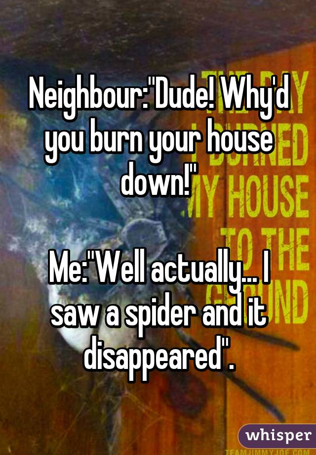 Neighbour:"Dude! Why'd you burn your house down!"

Me:"Well actually... I saw a spider and it disappeared".