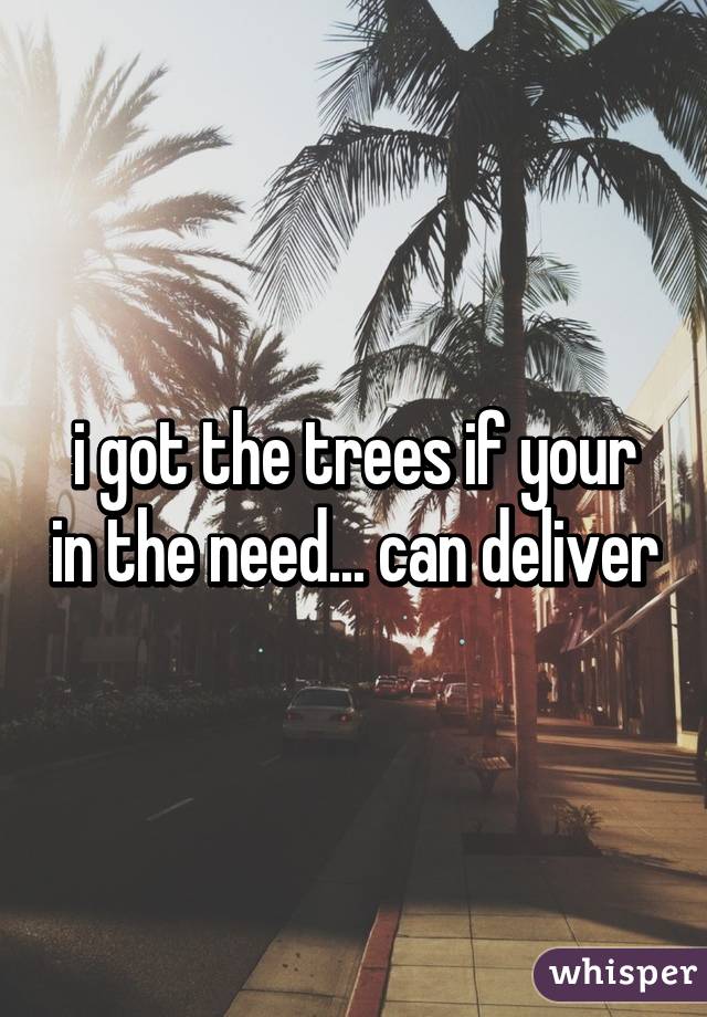 i got the trees if your in the need... can deliver