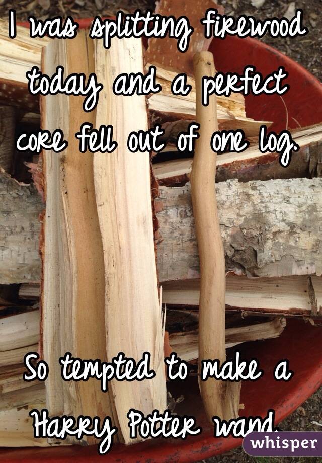 I was splitting firewood today and a perfect core fell out of one log.



So tempted to make a Harry Potter wand.