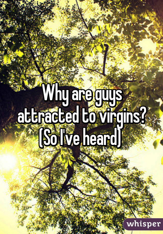 Why are guys attracted to virgins? (So I've heard) 