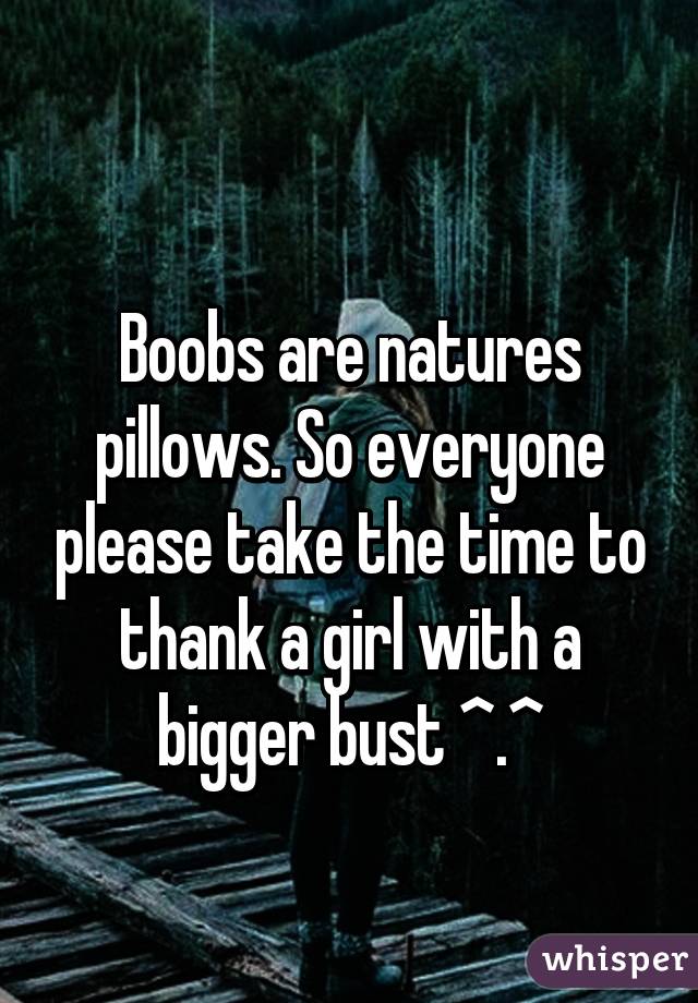 
Boobs are natures pillows. So everyone please take the time to thank a girl with a bigger bust ^.^