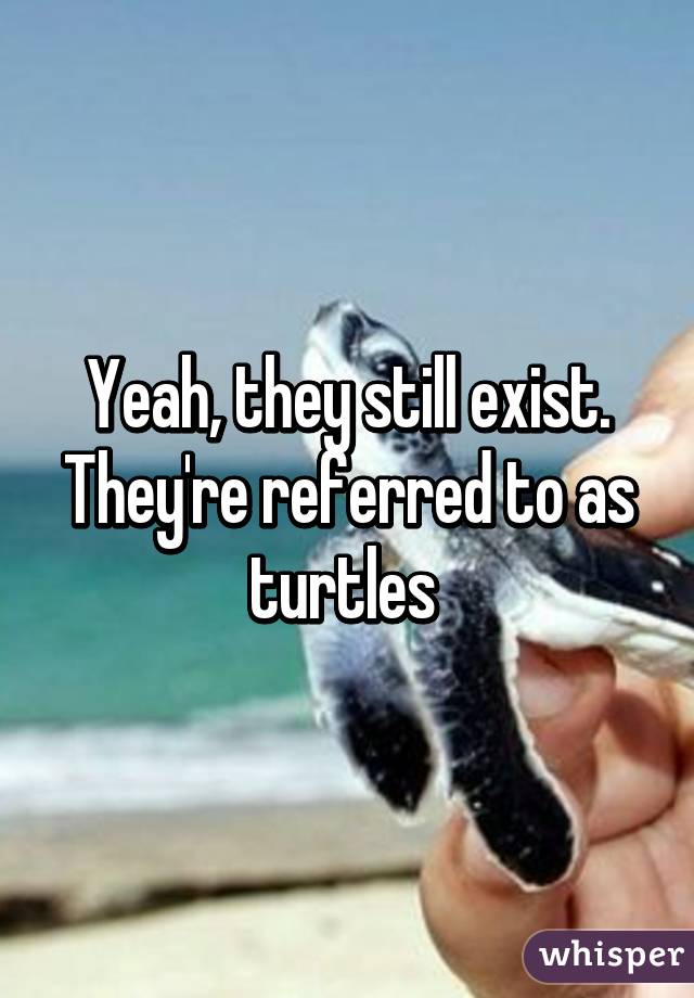 Yeah, they still exist. They're referred to as turtles 