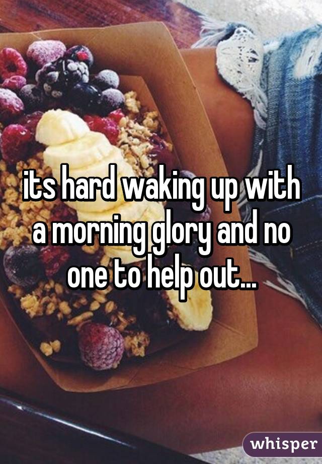 its hard waking up with a morning glory and no one to help out...