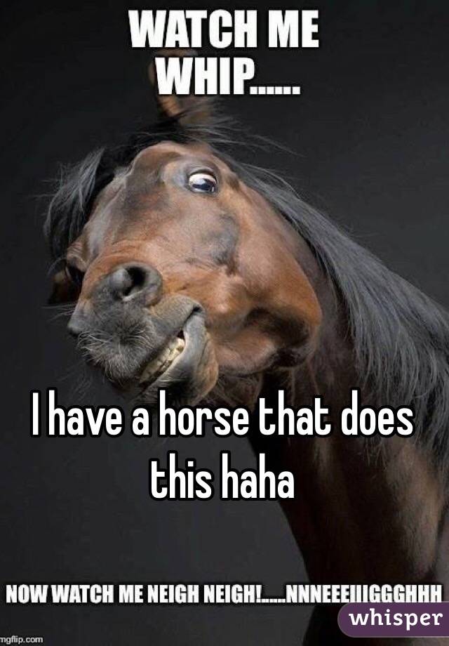 I have a horse that does this haha