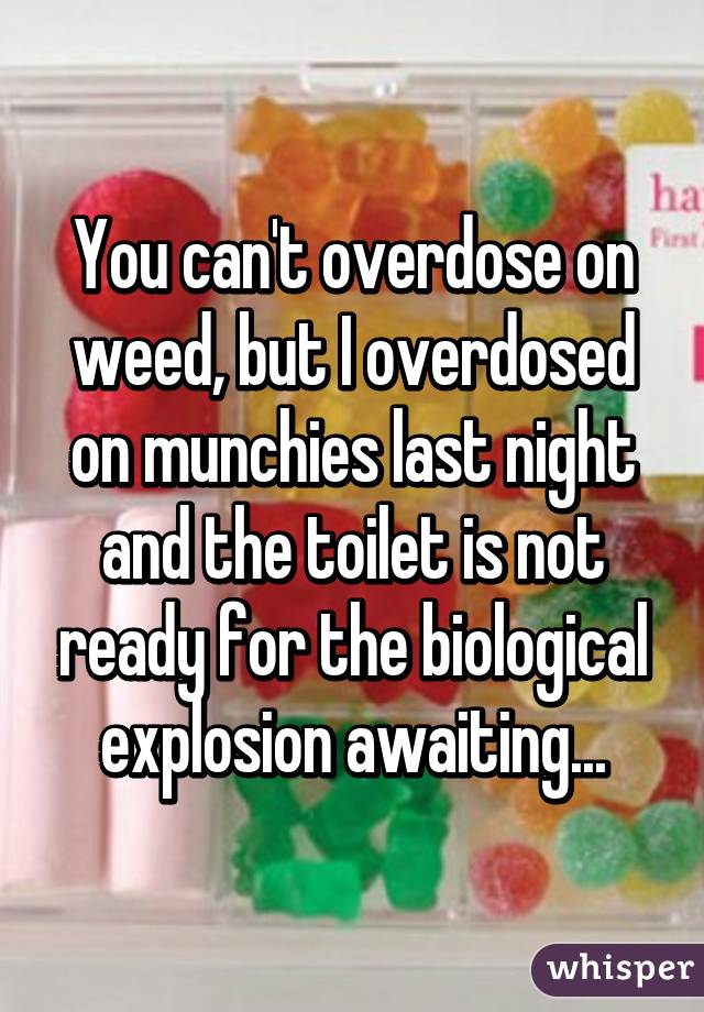 You can't overdose on weed, but I overdosed on munchies last night and the toilet is not ready for the biological explosion awaiting...