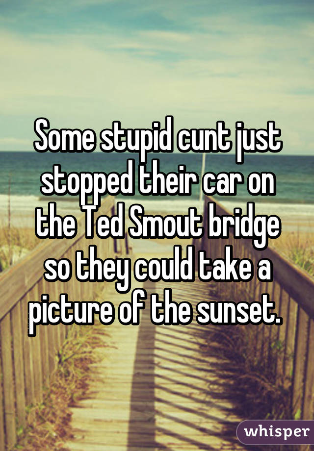 Some stupid cunt just stopped their car on the Ted Smout bridge so they could take a picture of the sunset. 