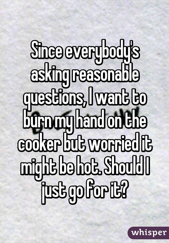 Since everybody's asking reasonable questions, I want to burn my hand on the cooker but worried it might be hot. Should I just go for it?