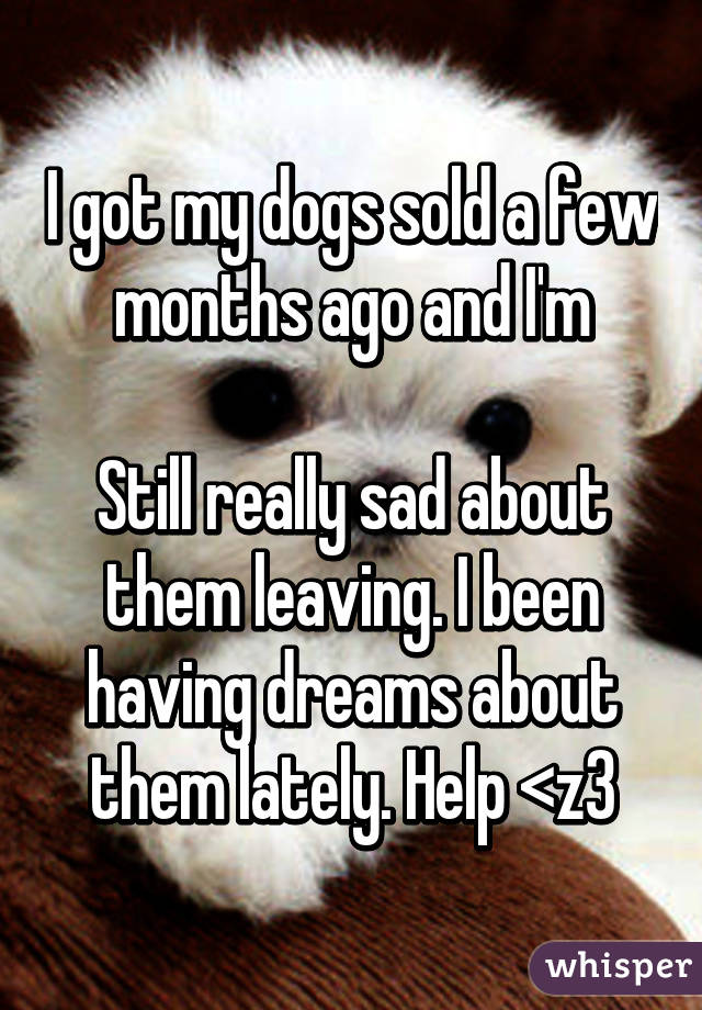 I got my dogs sold a few months ago and I'm

Still really sad about them leaving. I been having dreams about them lately. Help <z3