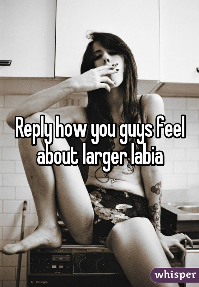 Reply how you guys feel about larger labia