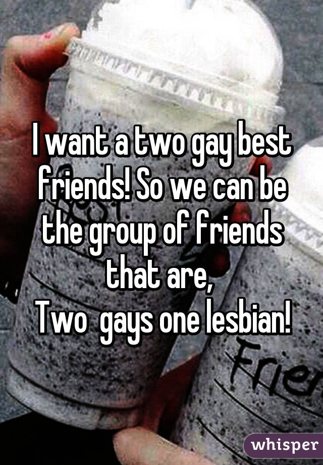 I want a two gay best friends! So we can be the group of friends that are, 
Two  gays one lesbian!