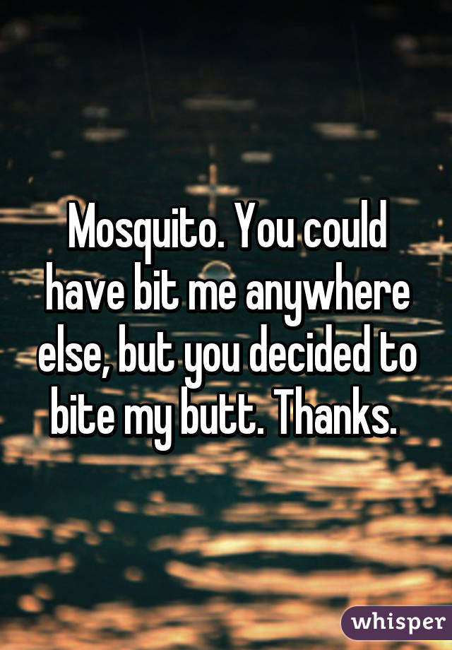 Mosquito. You could have bit me anywhere else, but you decided to bite my butt. Thanks. 