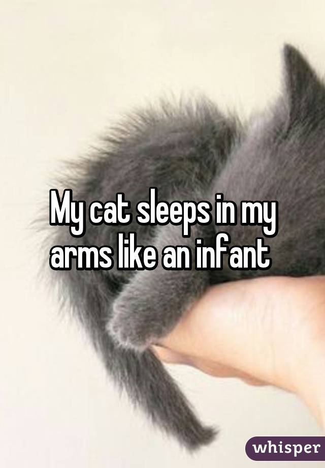 My cat sleeps in my arms like an infant 