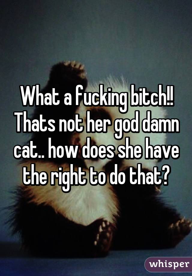 What a fucking bitch!! Thats not her god damn cat.. how does she have the right to do that?