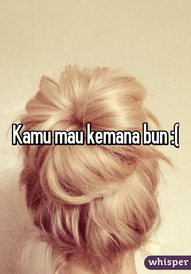 Kamu mau kemana bun :(