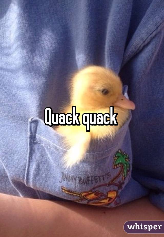 Quack quack 