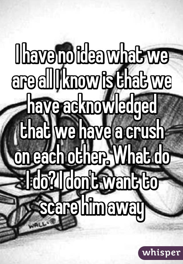 I have no idea what we are all I know is that we have acknowledged that we have a crush on each other. What do I do? I don't want to scare him away