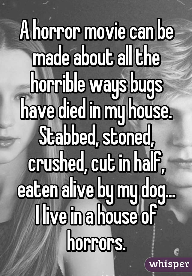 A horror movie can be made about all the horrible ways bugs have died in my house. Stabbed, stoned, crushed, cut in half, eaten alive by my dog...
I live in a house of horrors.