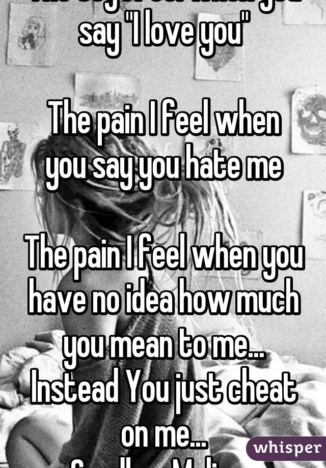 The Joy I feel when you say "I love you"

The pain I feel when you say you hate me

The pain I feel when you have no idea how much you mean to me...
Instead You just cheat on me...
Goodbye Melissa