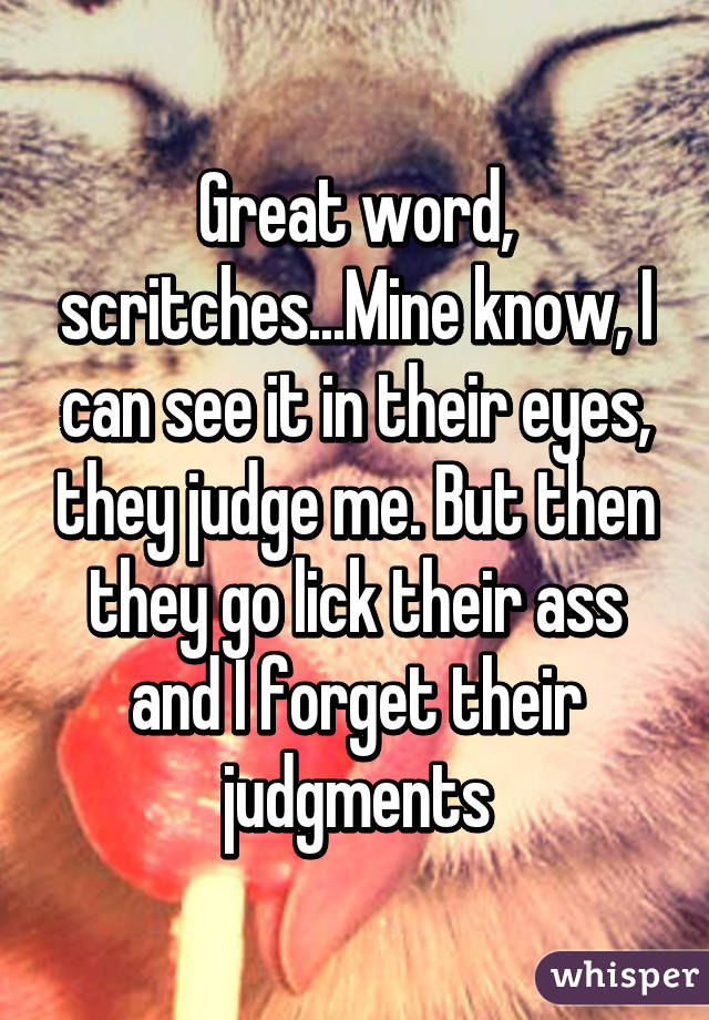 Great word, scritches...Mine know, I can see it in their eyes, they judge me. But then they go lick their ass and I forget their judgments