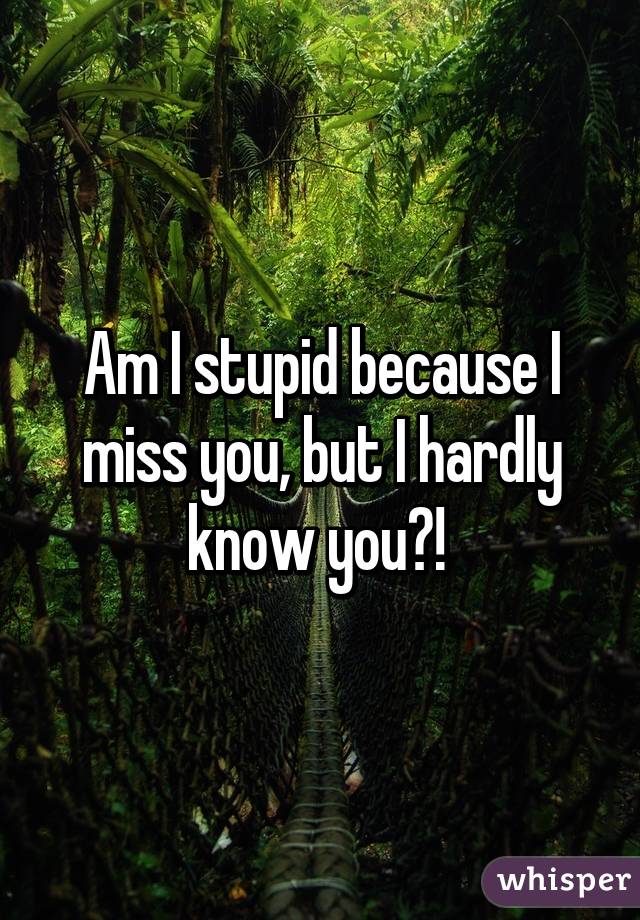 Am I stupid because I miss you, but I hardly know you?! 