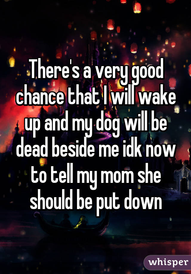 There's a very good chance that I will wake up and my dog will be dead beside me idk now to tell my mom she should be put down