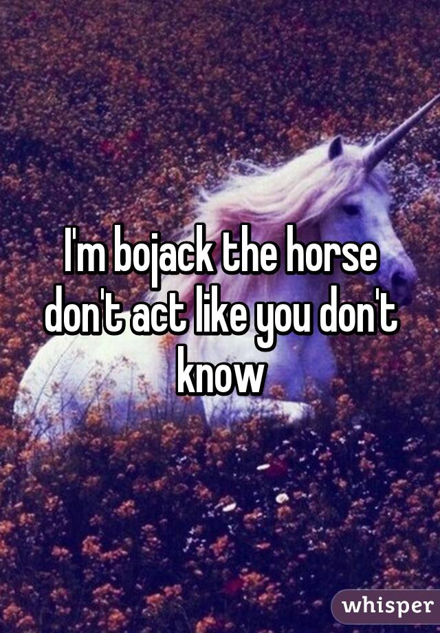 I'm bojack the horse don't act like you don't know