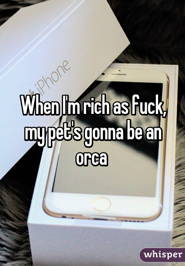 When I'm rich as fuck, my pet's gonna be an orca 