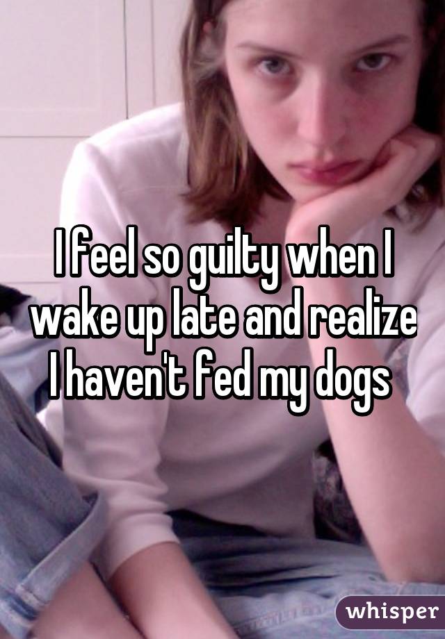 I feel so guilty when I wake up late and realize I haven't fed my dogs 