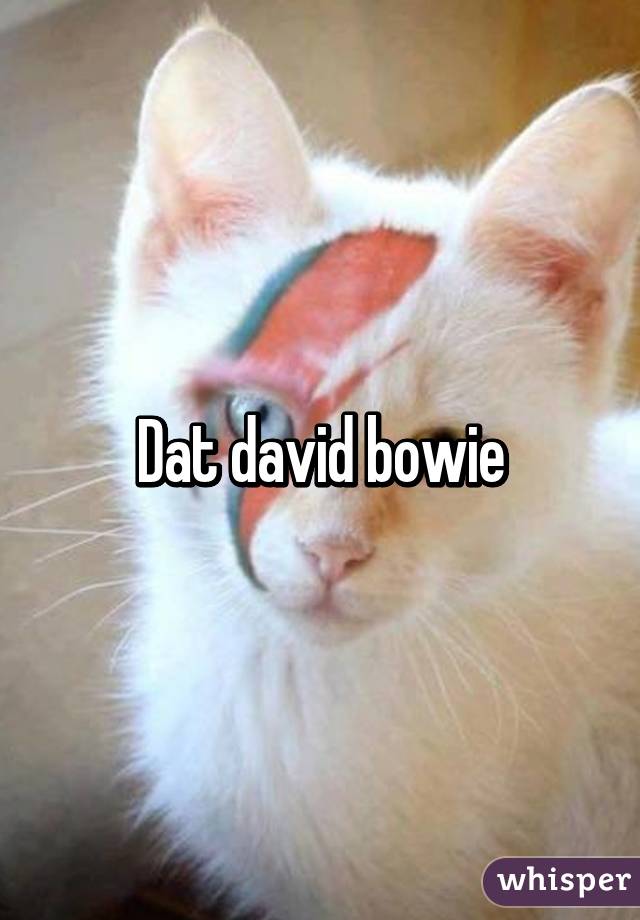 Dat david bowie