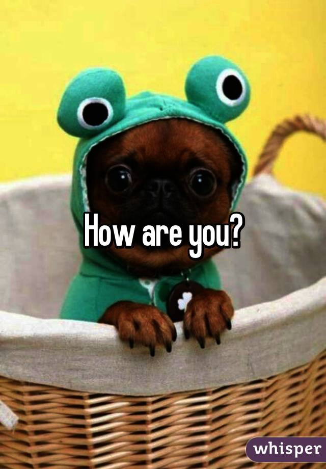 How are you?