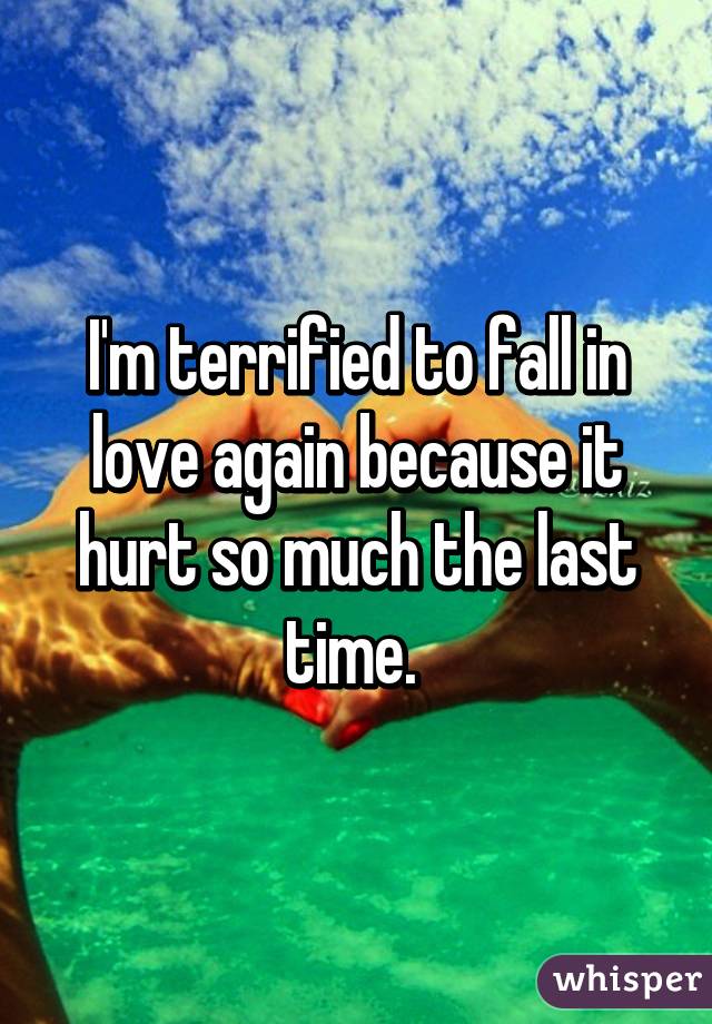 I'm terrified to fall in love again because it hurt so much the last time. 